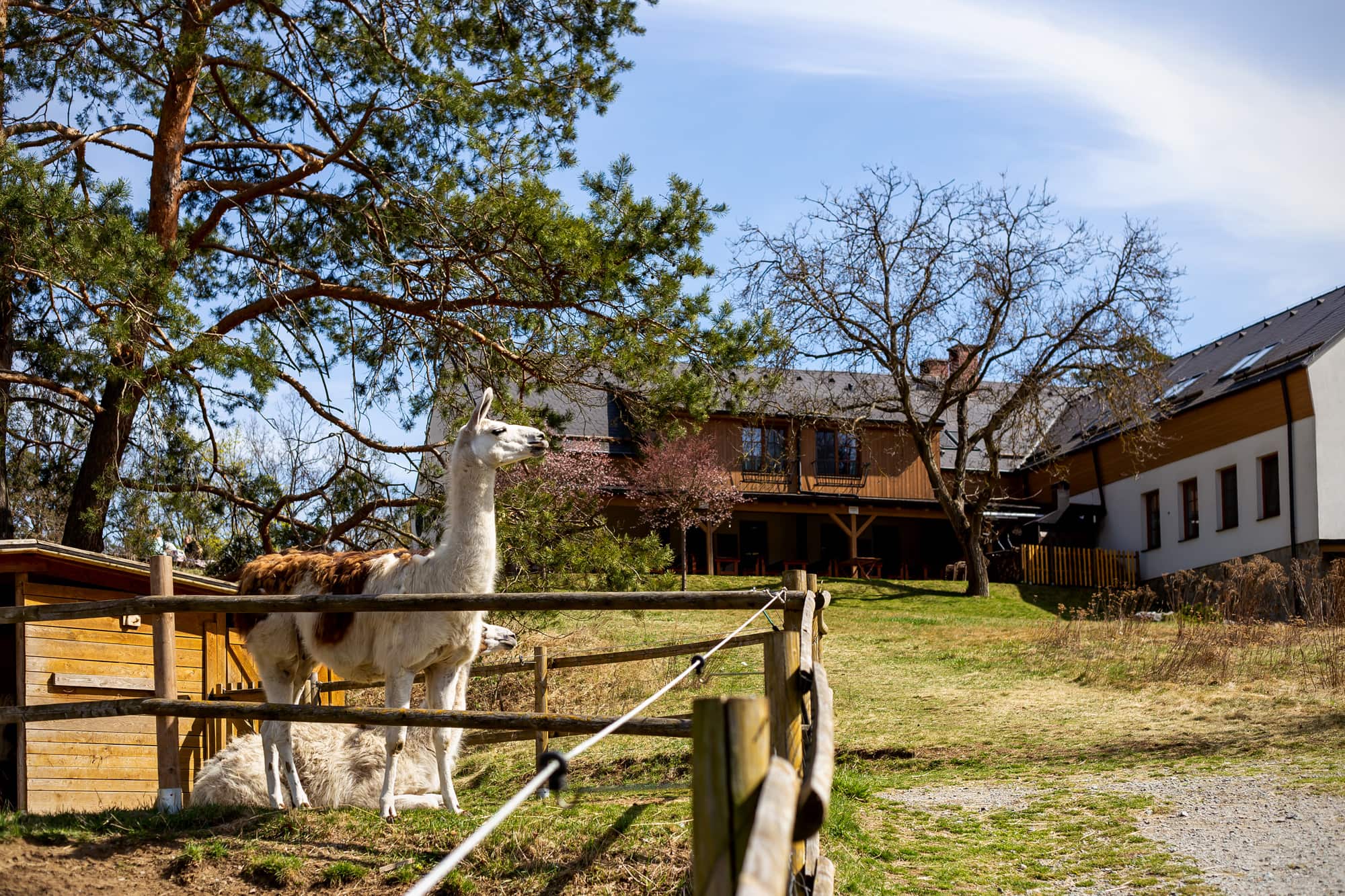 Statek Samsara - prostory